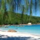 SIFA – SEYCHELLES INTERNATIONAL FINANCIAL SERVICES ASSOCIATION